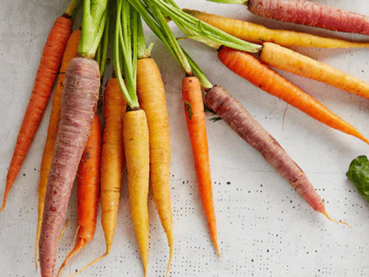 How ginseng and carrot peptides boost collagen production