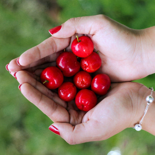 Combat Gout with a Low Uric Acid Diet - Organika Health Products