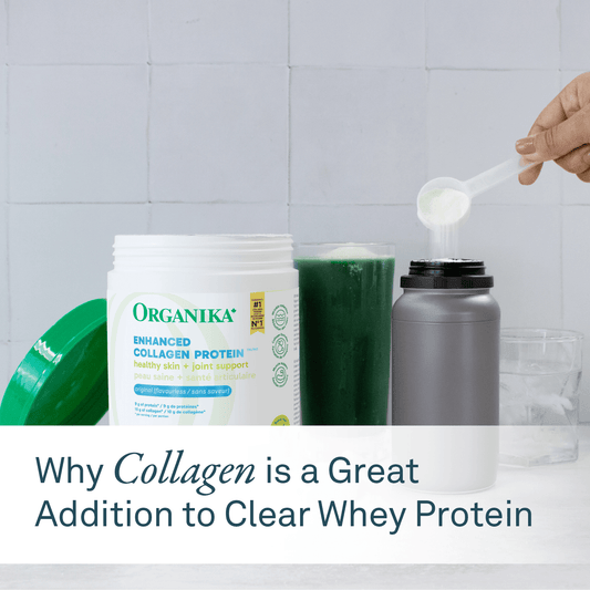 Why Collagen Is a Great Addition to Clear Whey Protein - Organika Health Products