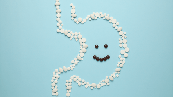 Your in-depth guide to gut health! - Organika Health Products