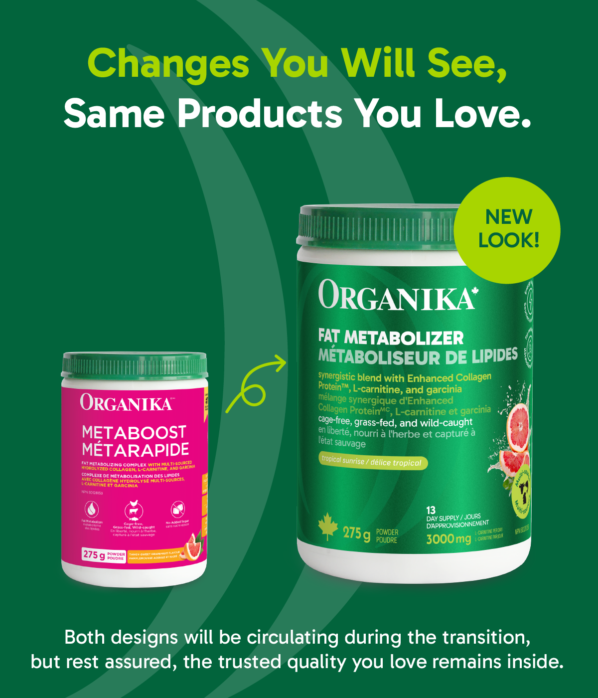 Metaboost Fat Metabolizing Complex Powder