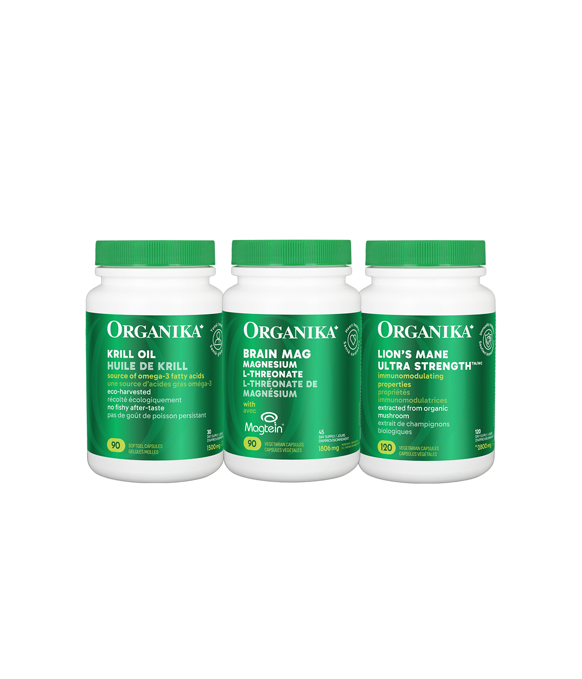 The Brain Strength Bundle