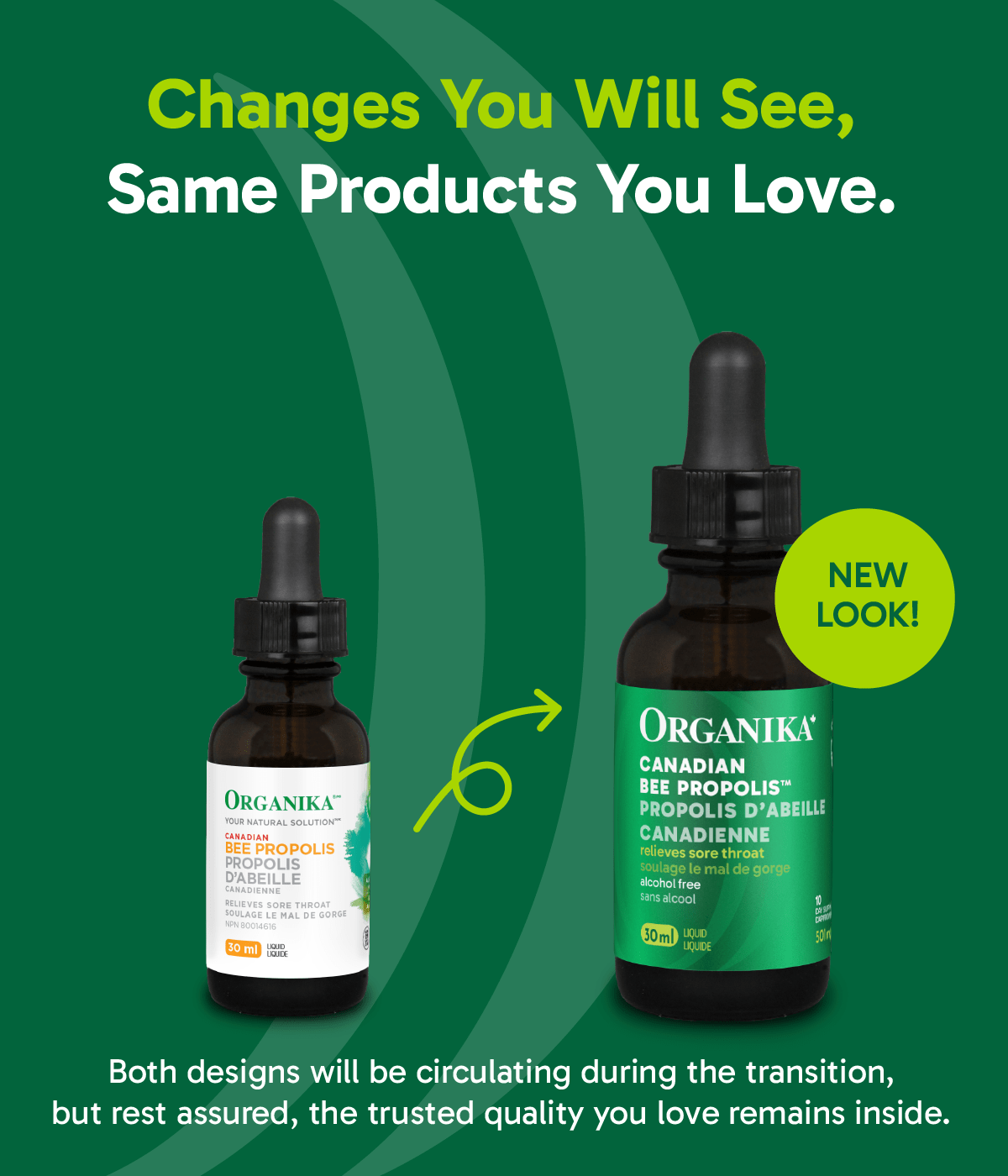 Bee Propolis Liquid - 30ml - Organika Health Products