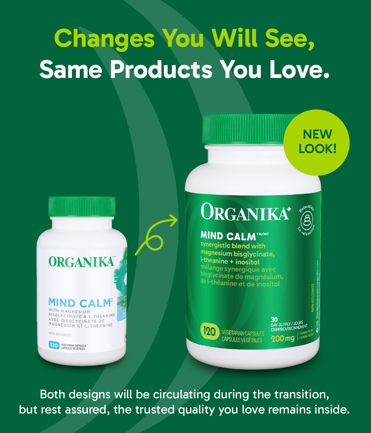 Mind Calm Capsules with Magnesium Bisglycinate & L - Theanine - 120 Vcaps - Organika Health Products