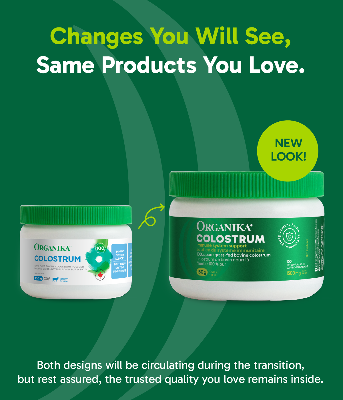 Colostrum Powder