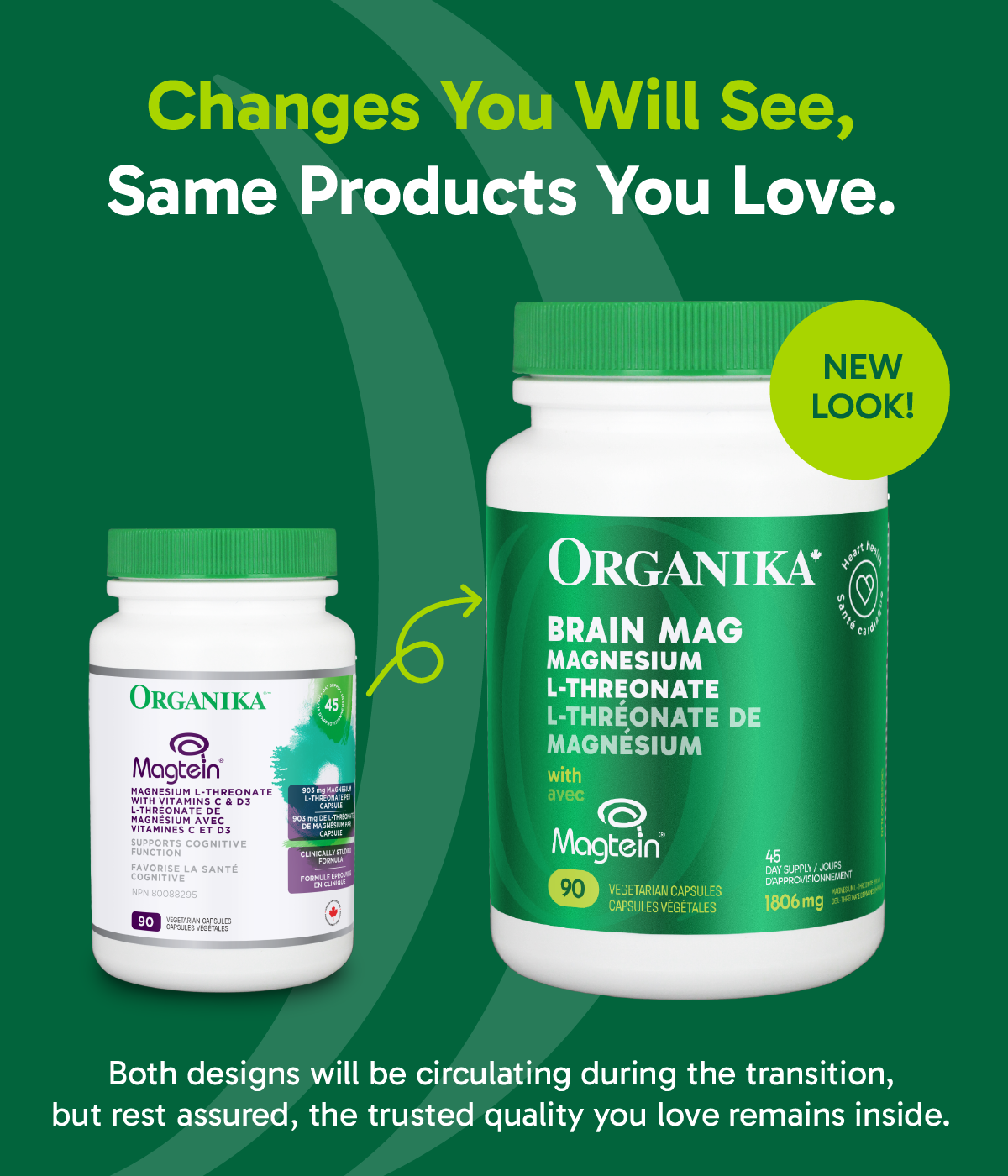 Brain Mag (Magnesium L-Threonate with Magtein)