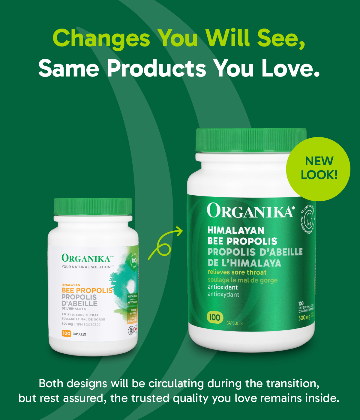 Bee Propolis Himalayan