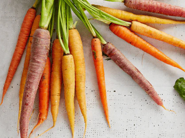 How ginseng and carrot peptides boost collagen production