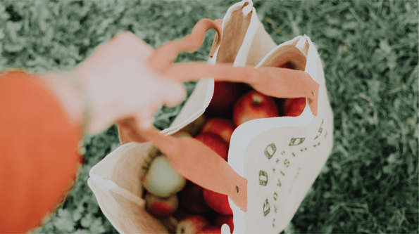 Give big: support small businesses! - Organika Health Products