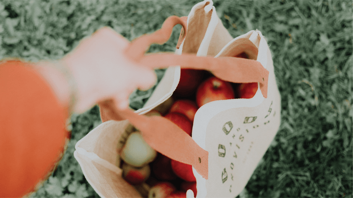 Give big: support small businesses! - Organika Health Products