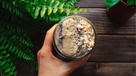 Mint Chocolate Keto Smoothie Recipe - Organika Health Products