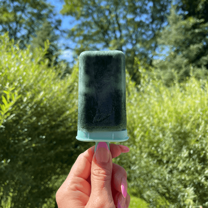 Spirulina Protein Pops - Organika Health Products