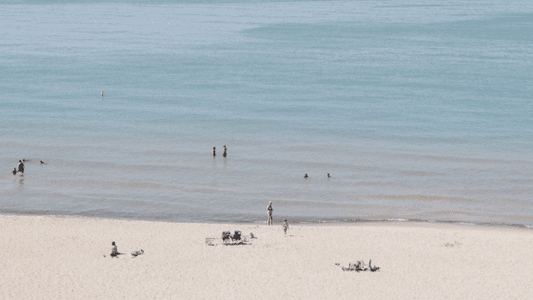Vacation Must-Haves With Dr. Marc Bubbs - Organika Health Products
