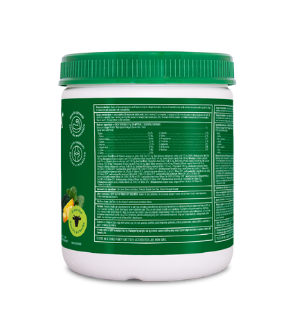 Enhanced Collagen Protein Power Greens with Probiotics