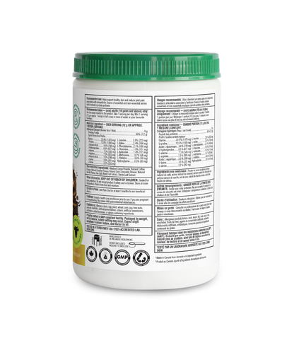 Dark Chocolate Caramel Macchiato Enhanced Collagen Protein