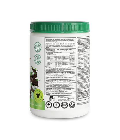 Dark Chocolate Chip Mint Enhanced Collagen Protein