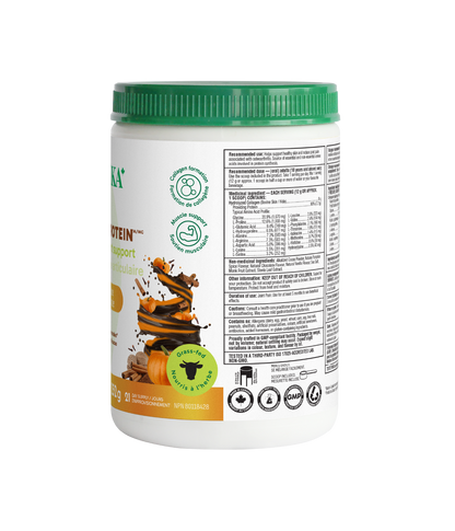 Dark Chocolate Pumpkin Spice Enhanced Collagen Protein