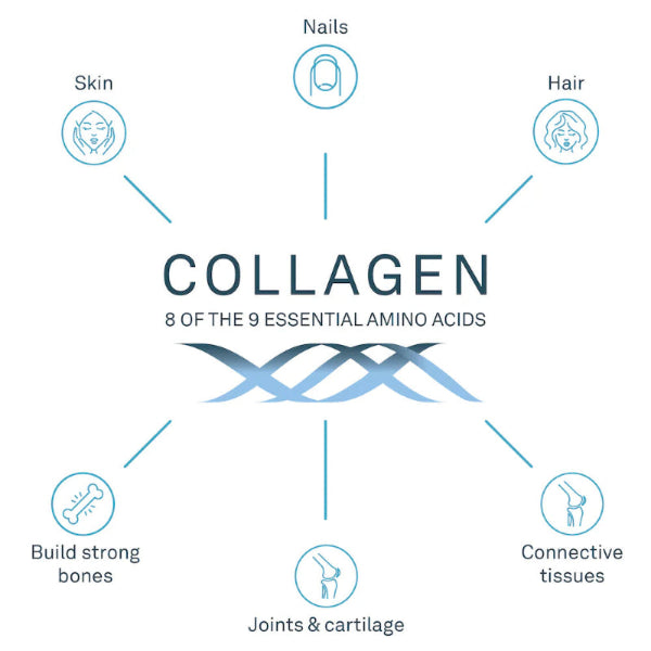 Collagen Image