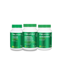 The Calm & Balance Bundle