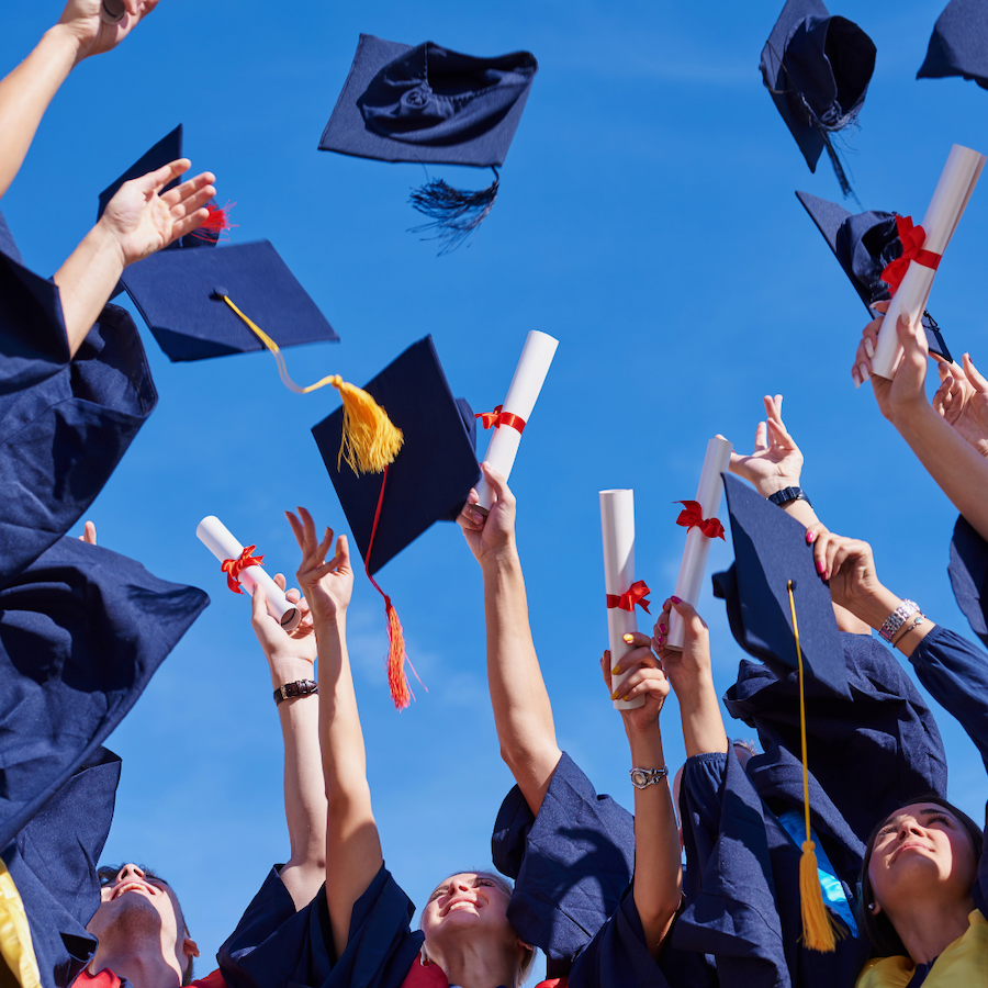 The Organika Scholarship Program 