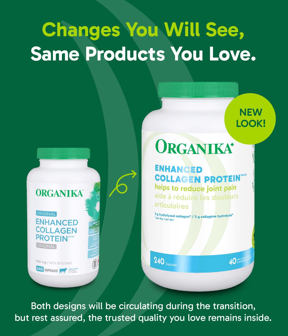 Enhanced Collagen Protein Capsules - 240 Capsules - Organika Health Products