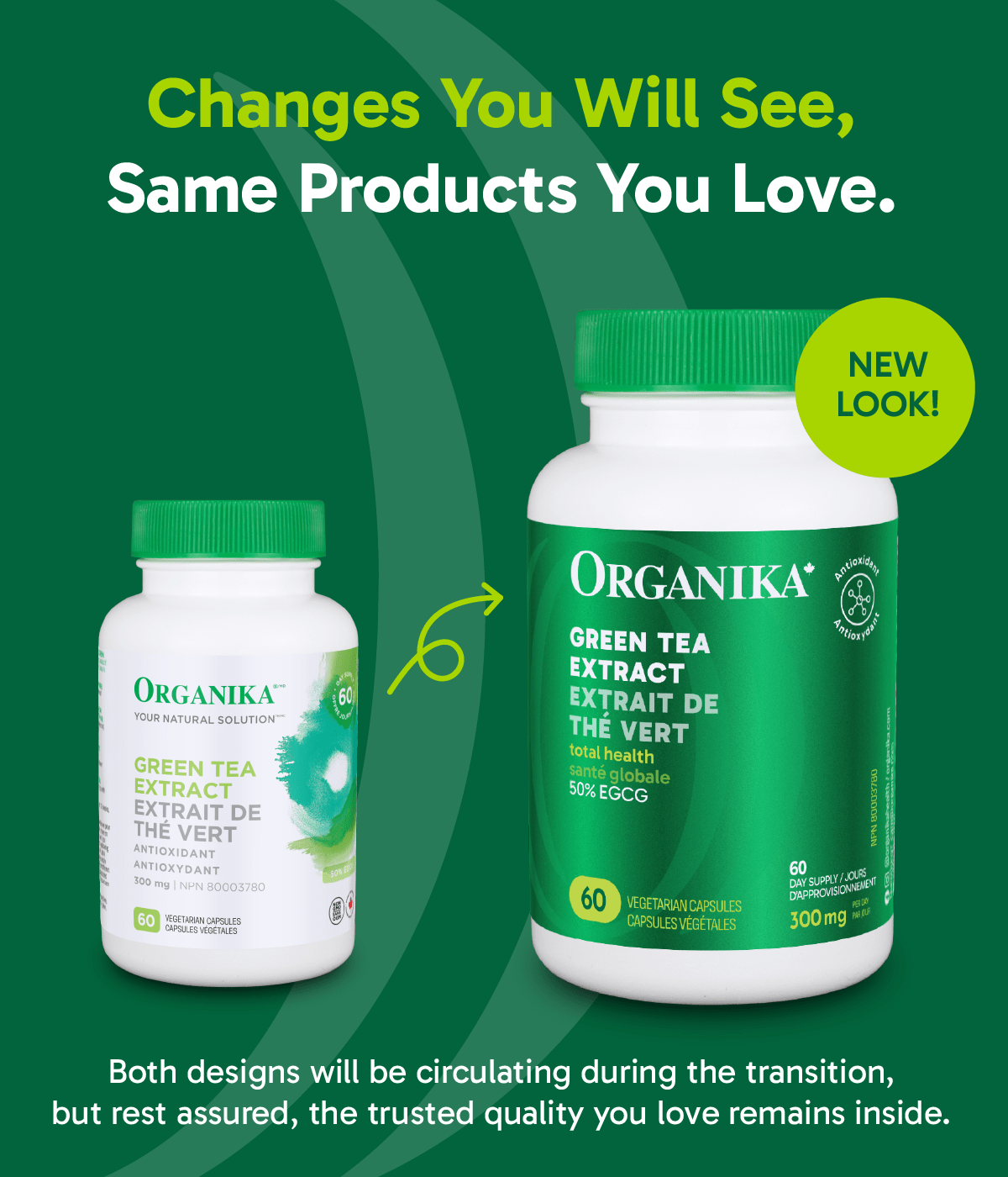 Green Tea Extract - 60 Vcaps - Organika Health Products