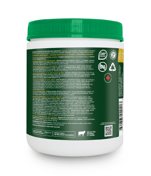 O1 - Pineapple Punch - Organika Health Products