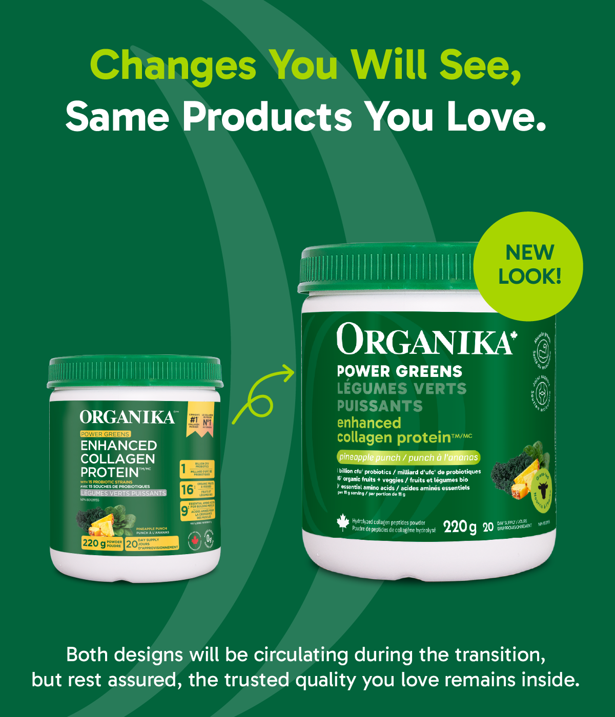 Enhanced Collagen Protein Power Greens with Probiotics