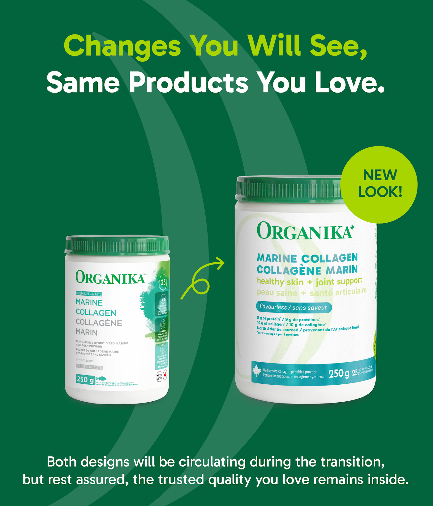 Marine Collagen
