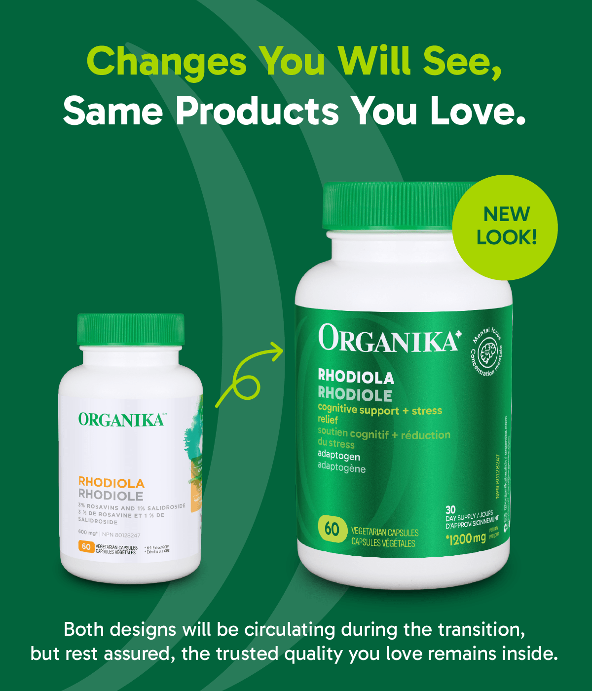 Rhodiola - 60 vcaps - Organika Health Products