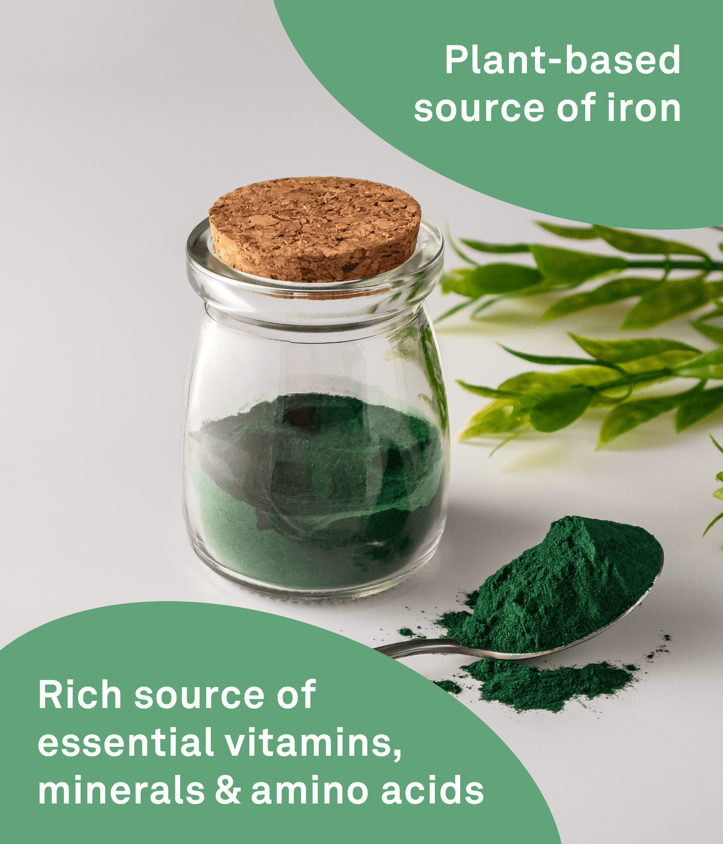 Spirulina + B12 - 300 g - Organika Health Products